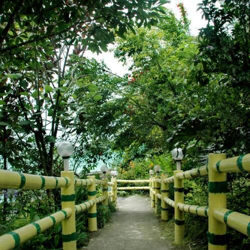 Rinchenpong Village Resort, Pelling 5